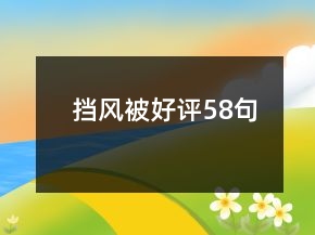 挡风被好评58句