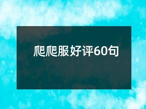 爬爬服好评60句
