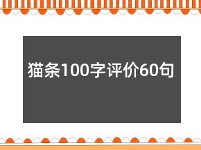 猫条100字评价60句