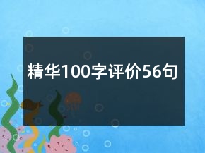精华100字评价56句