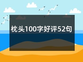 枕头100字好评52句