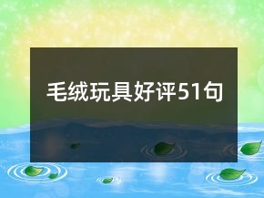 毛绒玩具好评51句