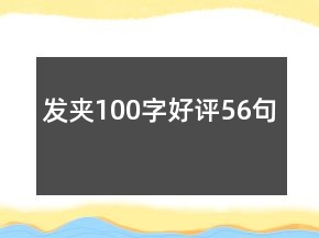 发夹100字好评56句