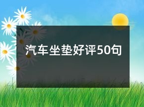 汽车坐垫好评50句