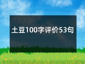 土豆100字评价53句