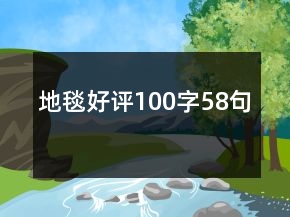 地毯好评100字58句