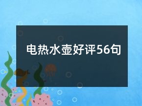 电热水壶好评56句