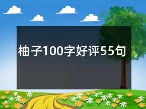 柚子100字好评55句