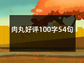 肉丸好评100字54句