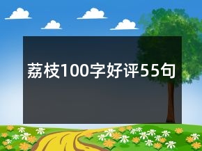 荔枝100字好评55句