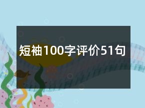 短袖100字评价51句