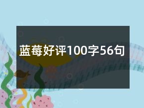 蓝莓好评100字56句