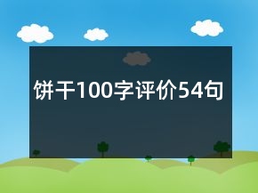 饼干100字评价54句