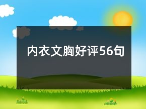 内衣文胸好评56句