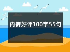 内裤好评100字55句