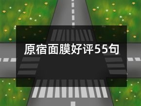 原宿面膜好评55句