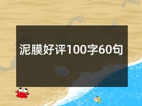 泥膜好评100字60句