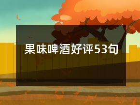 果味啤酒好评53句