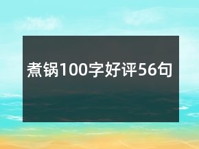 煮锅100字好评56句
