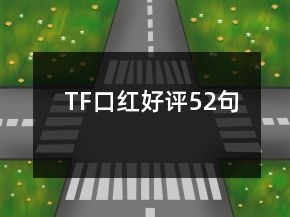 TF口红好评52句