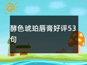 酵色琥珀唇膏好评53句