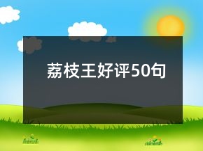 荔枝王好评50句