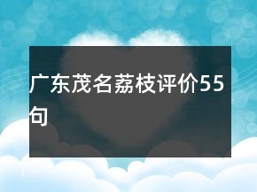 广东茂名荔枝评价55句