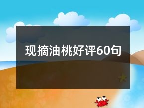 现摘油桃好评60句