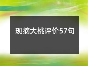 现摘大桃评价57句