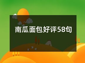 南瓜面包好评58句