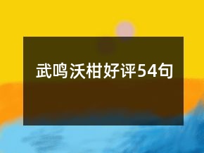 武鸣沃柑好评54句