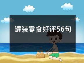 罐装零食好评56句