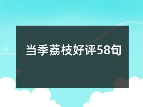 当季荔枝好评58句