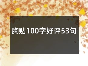 胸贴100字好评53句