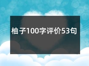 柚子100字评价53句
