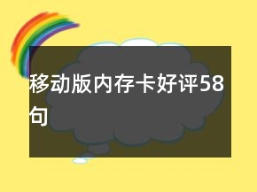 移动版内存卡好评58句