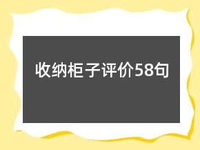 收纳柜子评价58句