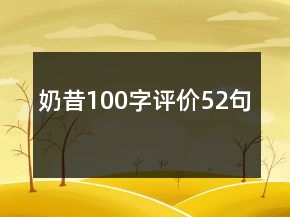 奶昔100字评价52句