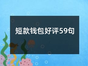 短款钱包好评59句