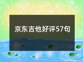 京东吉他好评57句