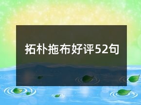 拓朴拖布好评52句