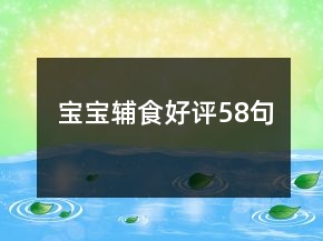 宝宝辅食好评58句