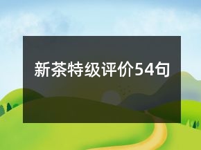 新茶特级评价54句