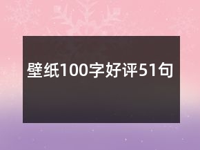 壁纸100字好评51句
