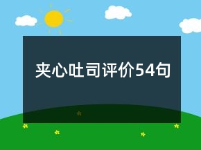 夹心吐司评价54句