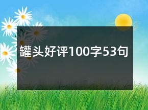 罐头好评100字53句