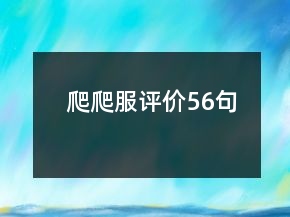 爬爬服评价56句