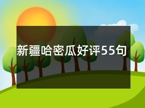 新疆哈密瓜好评55句