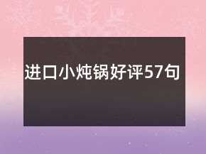 进口小炖锅好评57句