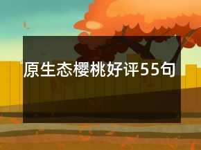 原生态樱桃好评55句